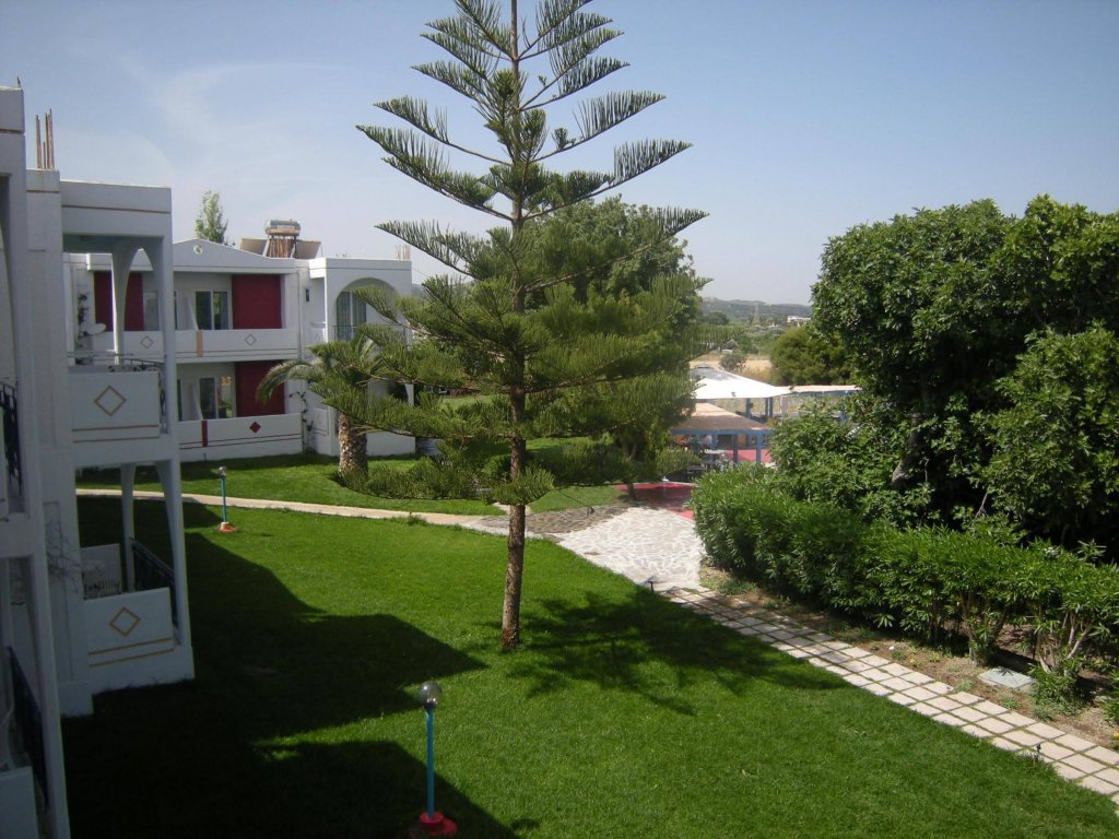 Фото Summer Dream Hotel