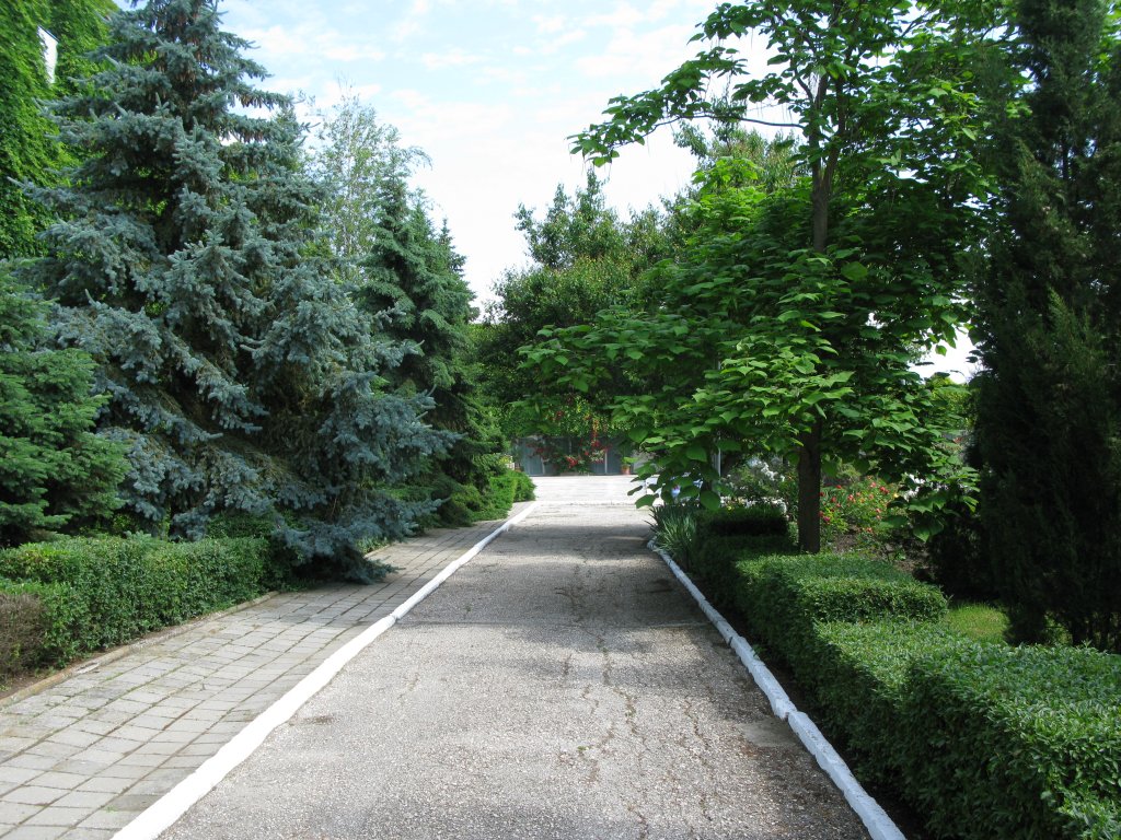 Фото Крымское Приазовье