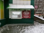 Pena (ulitsa Kurchatova, 11/1), cervecería