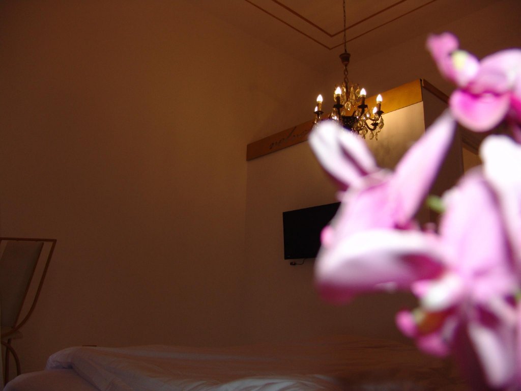 Фото Hotel Velvet 1928