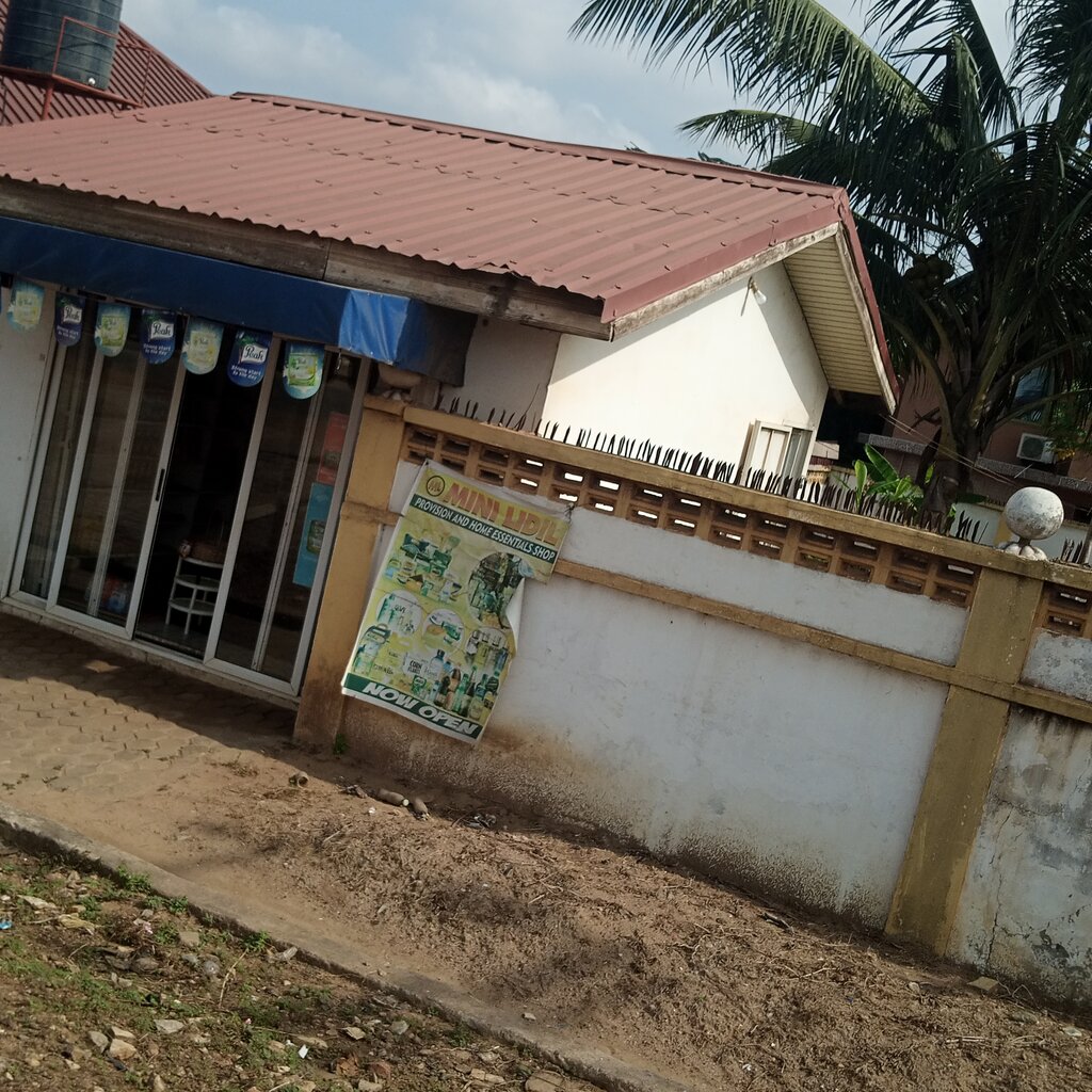 Grocery Mini lidil, Earth, photo