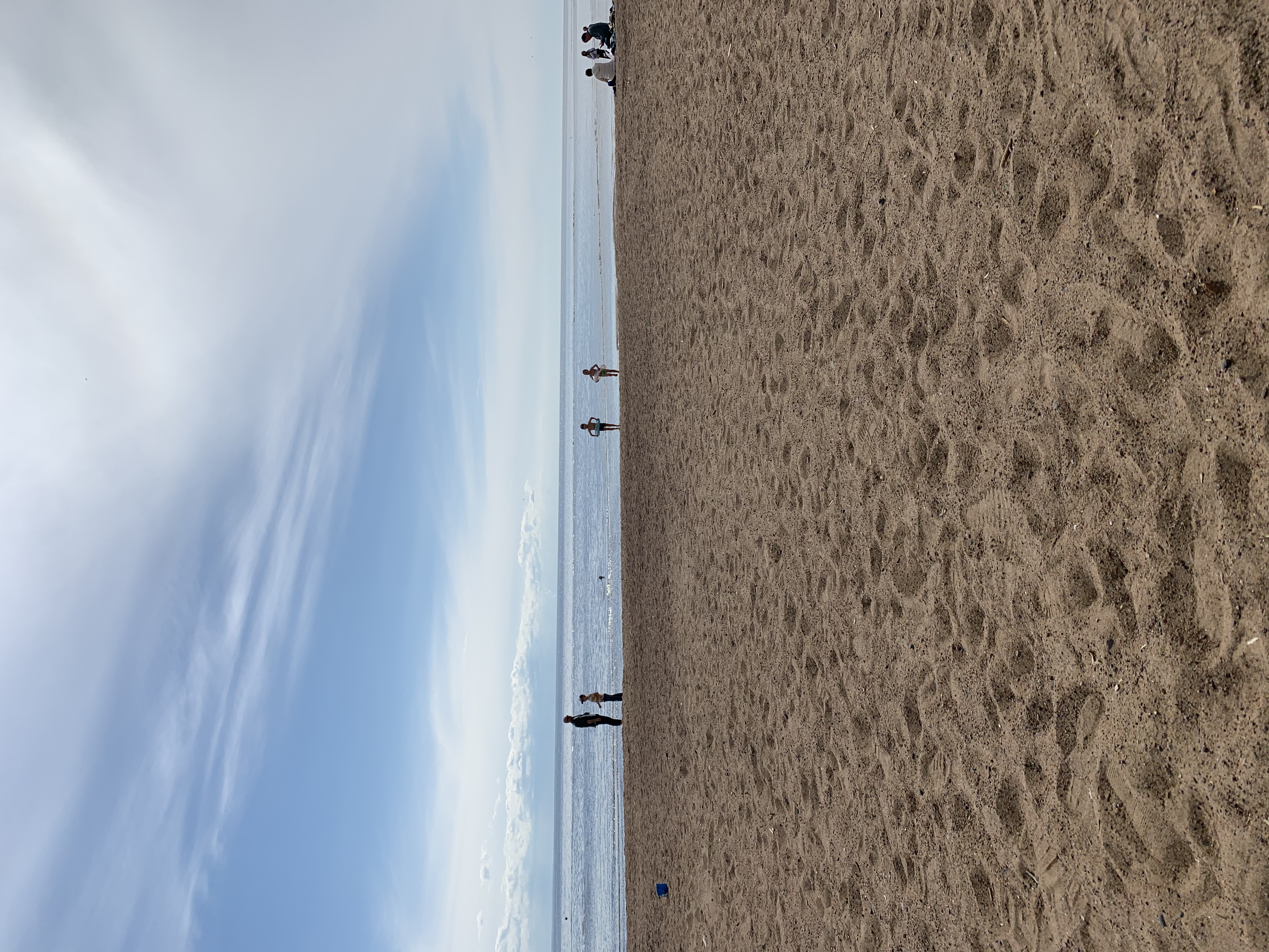 Фото Лайнер