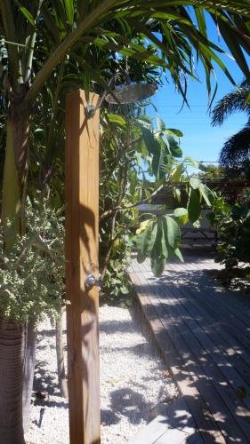 Фото Pauline's Apartments Aruba