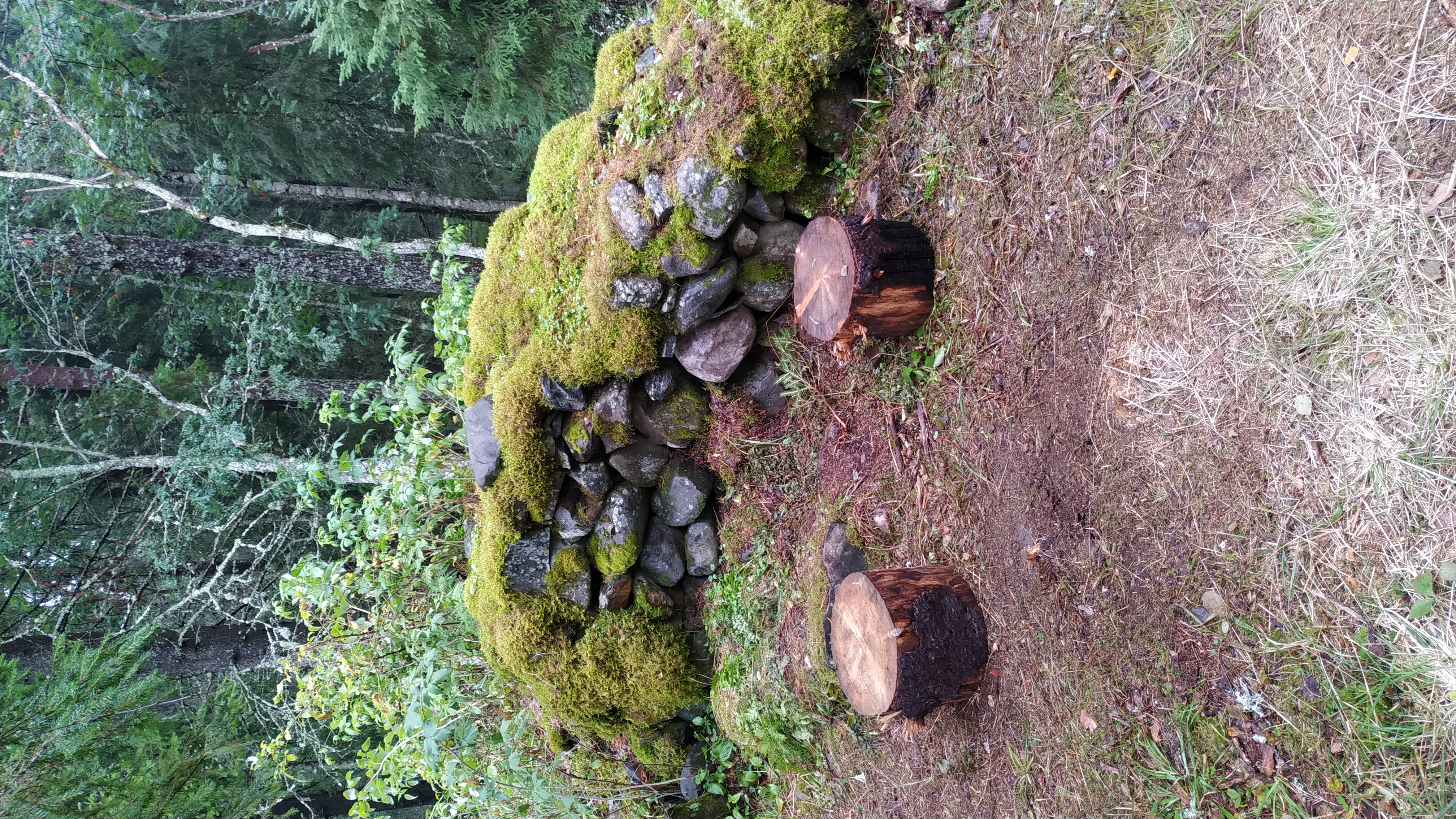 Фото Хутор Ёлки