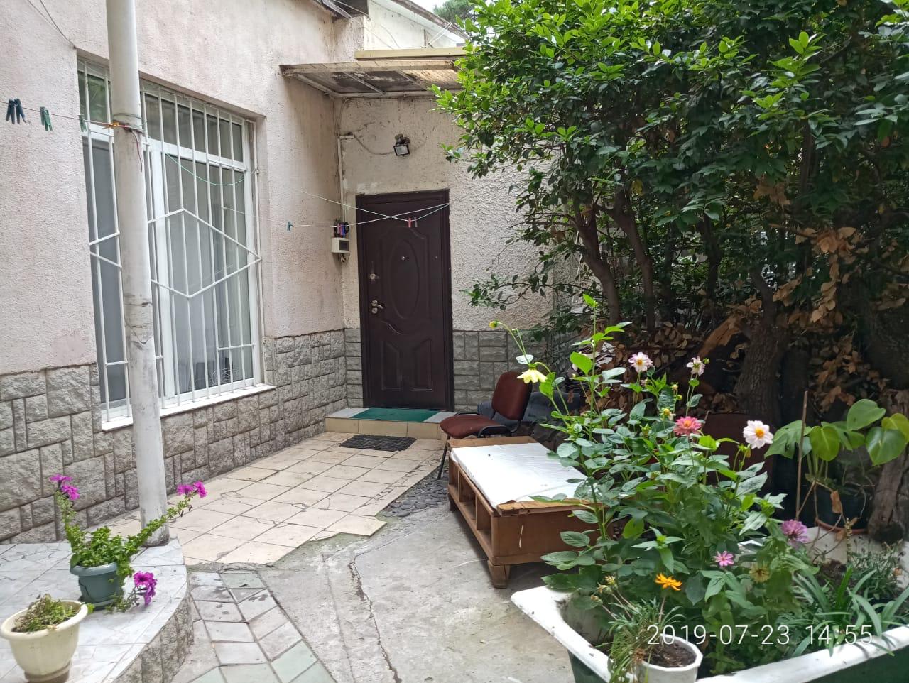 Фото Сосна и Пальмы