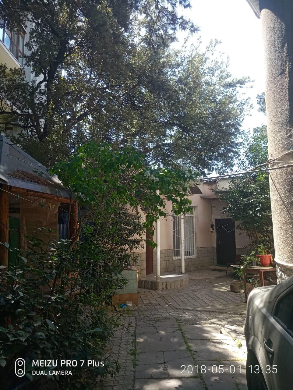 Фото Сосна и Пальмы