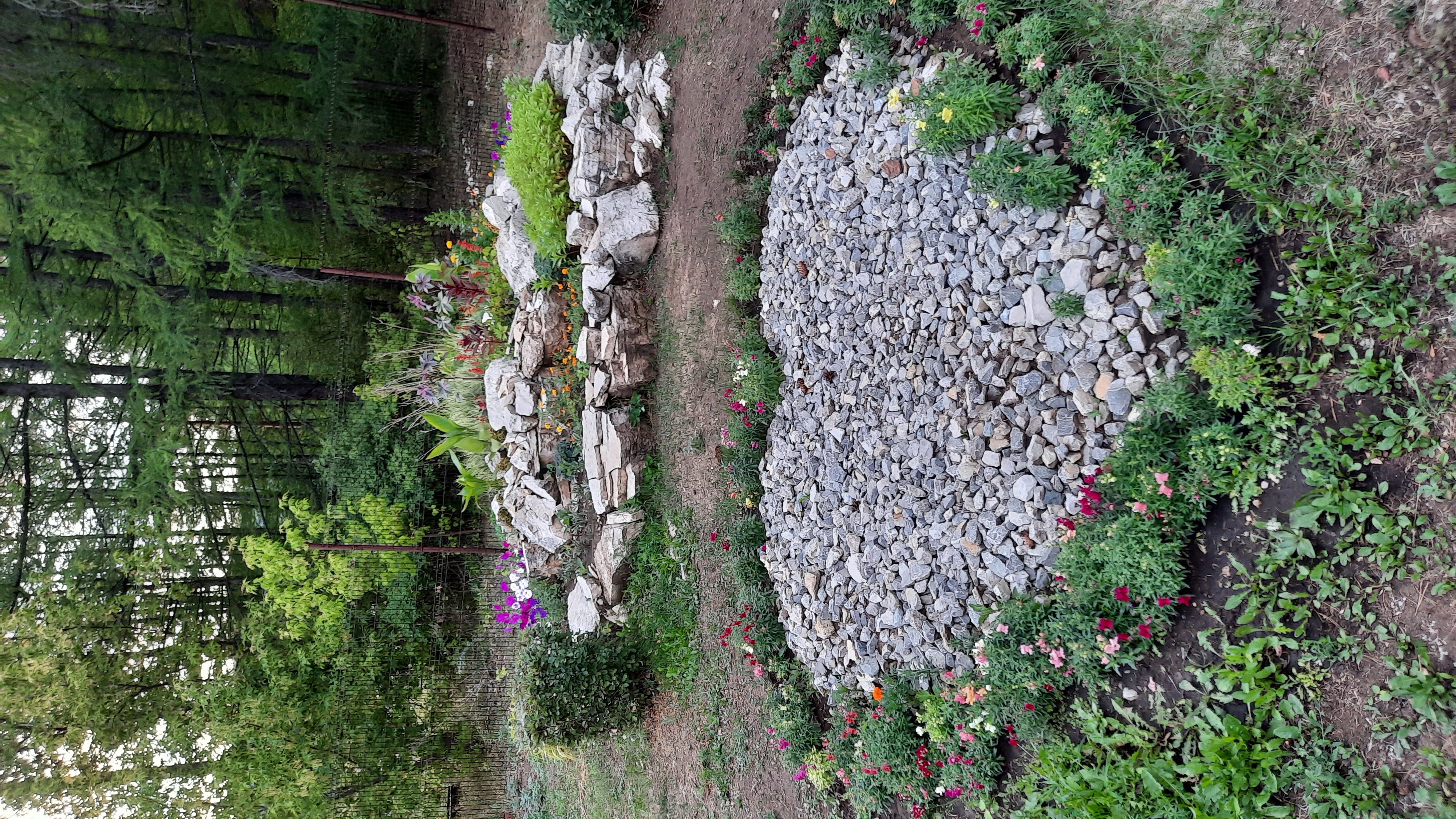 Фото Ромашкино