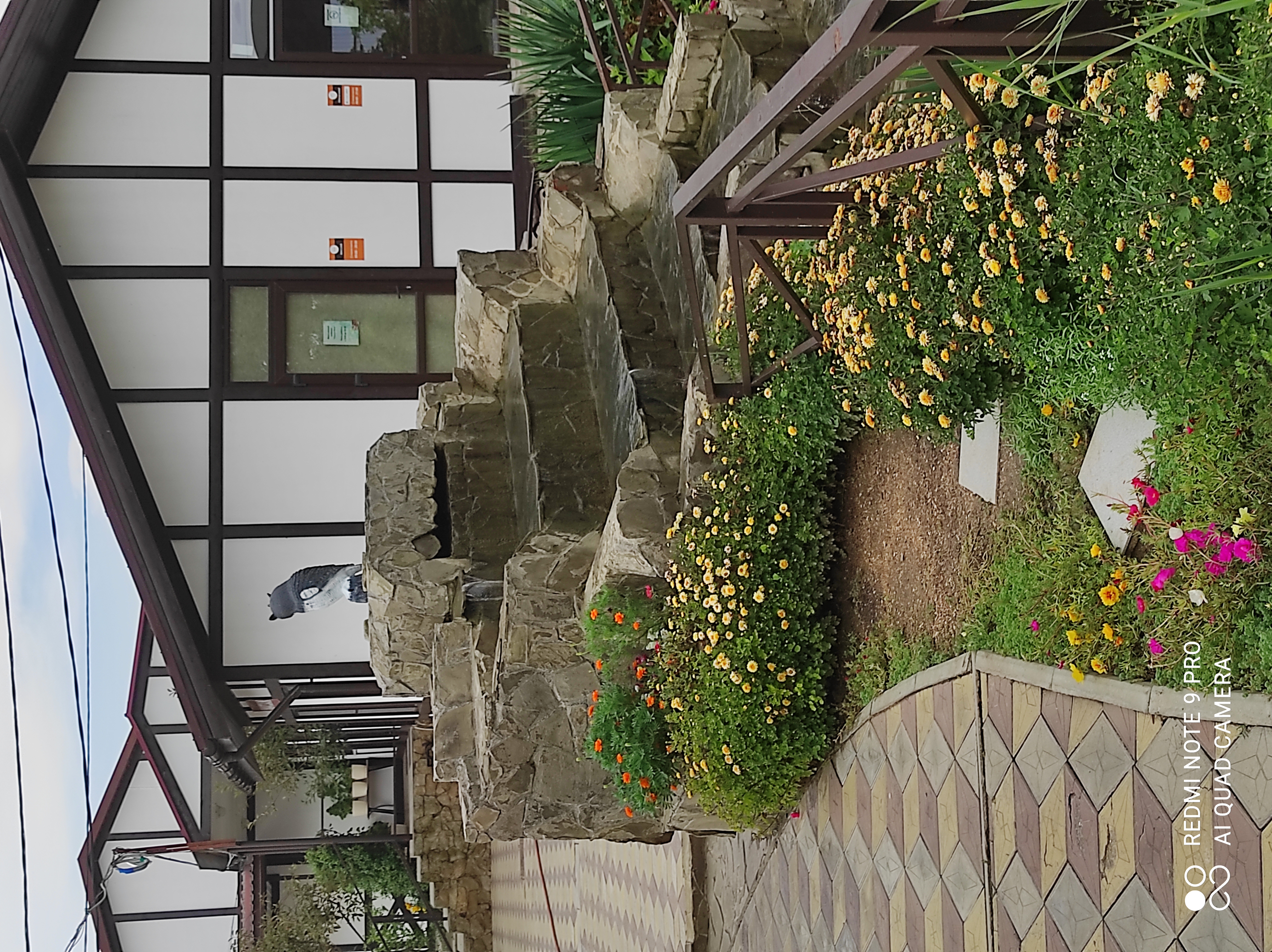 Фото Альтаир