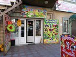 Magazin detskikh tovarov Ulybka (3rd Internatsionalnaya Street, 30) ، دمى وألعاب