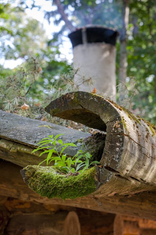 Фото Таёжные Бани