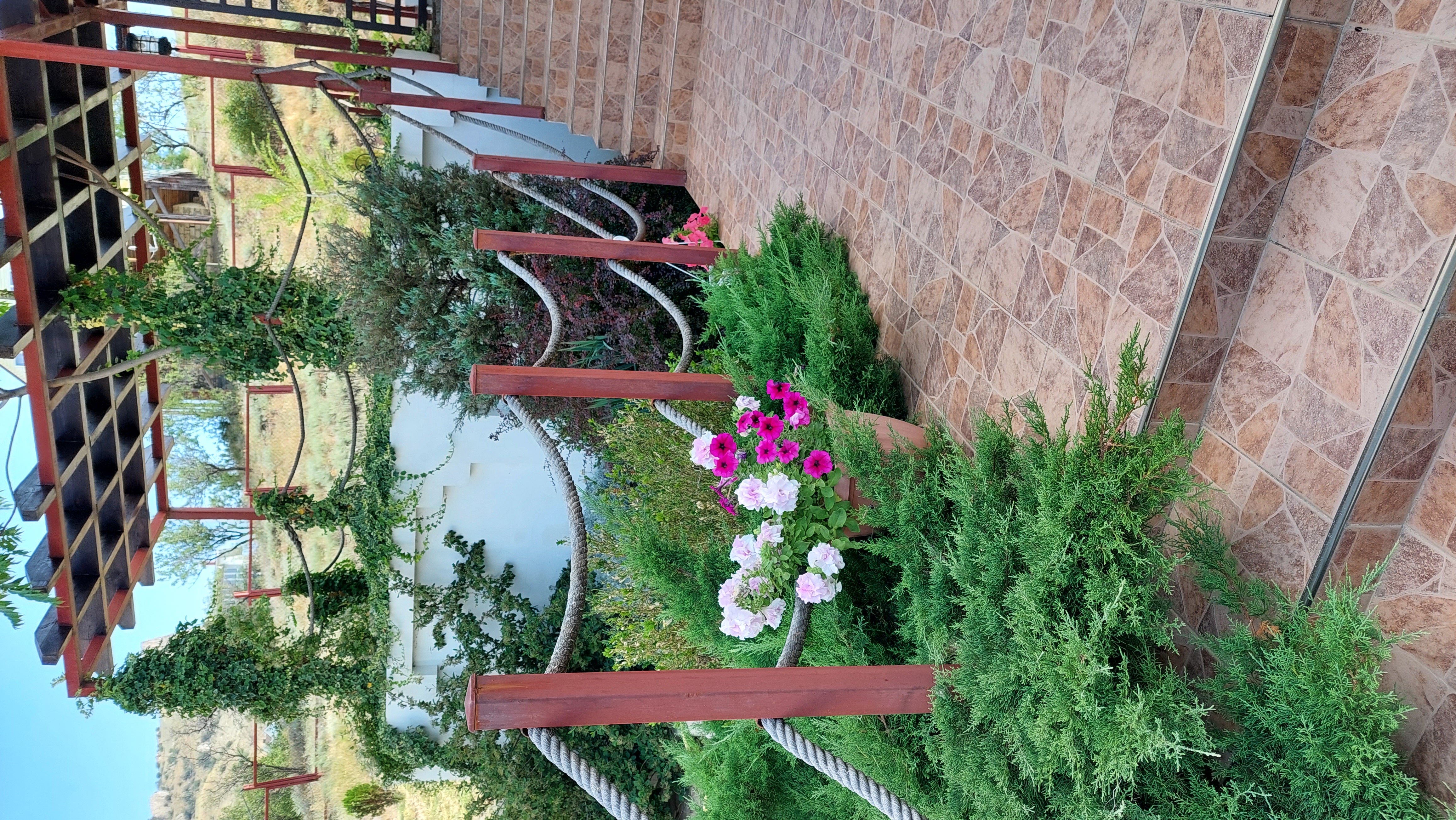 Фото Аль-Тумур