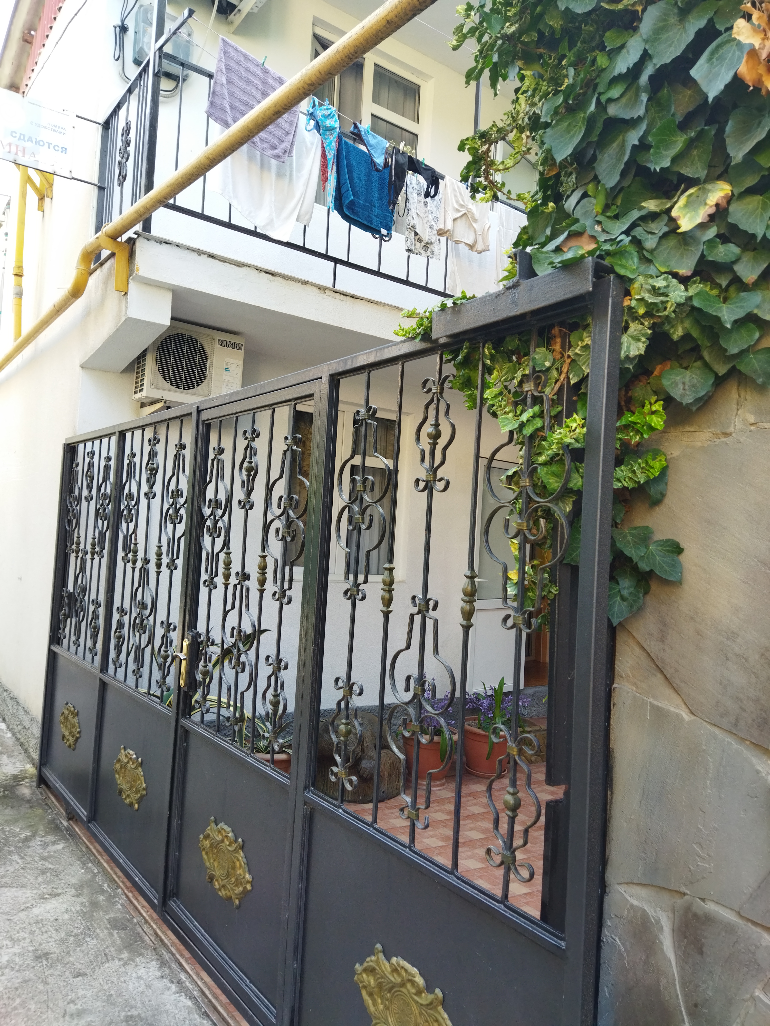 Фото Альбина