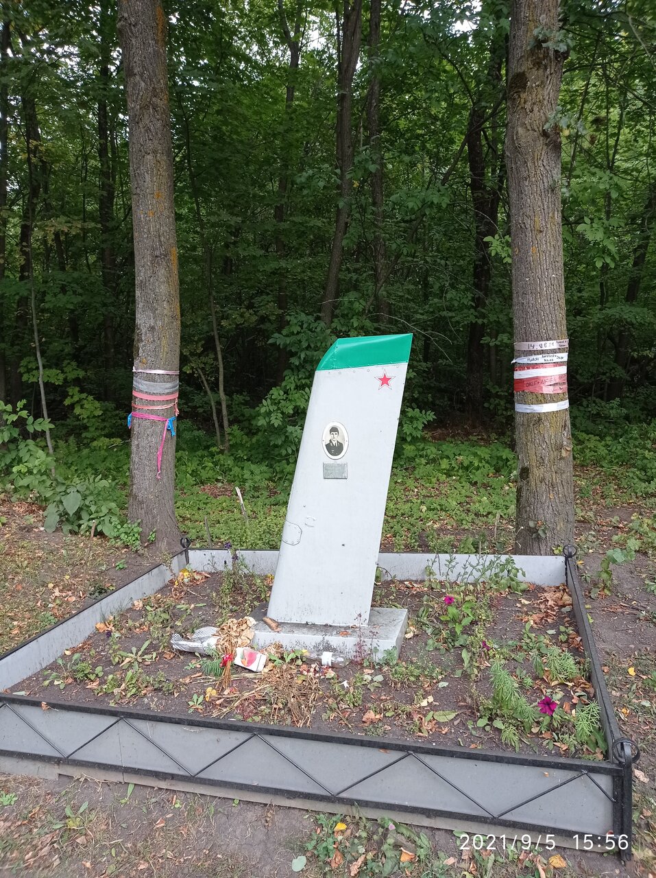 Фотография