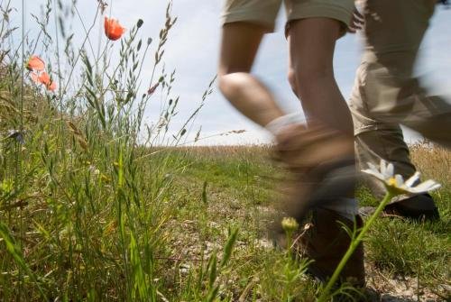 Фото Ferien Appartements am Park
