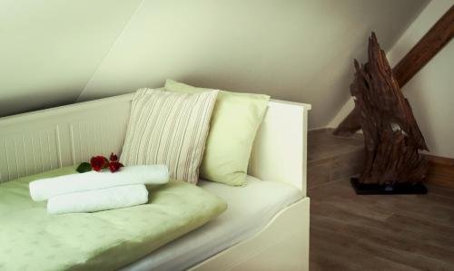 Фото House of Roses