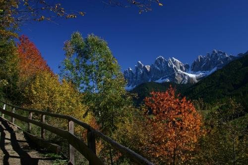 Фото Residence Töglhof