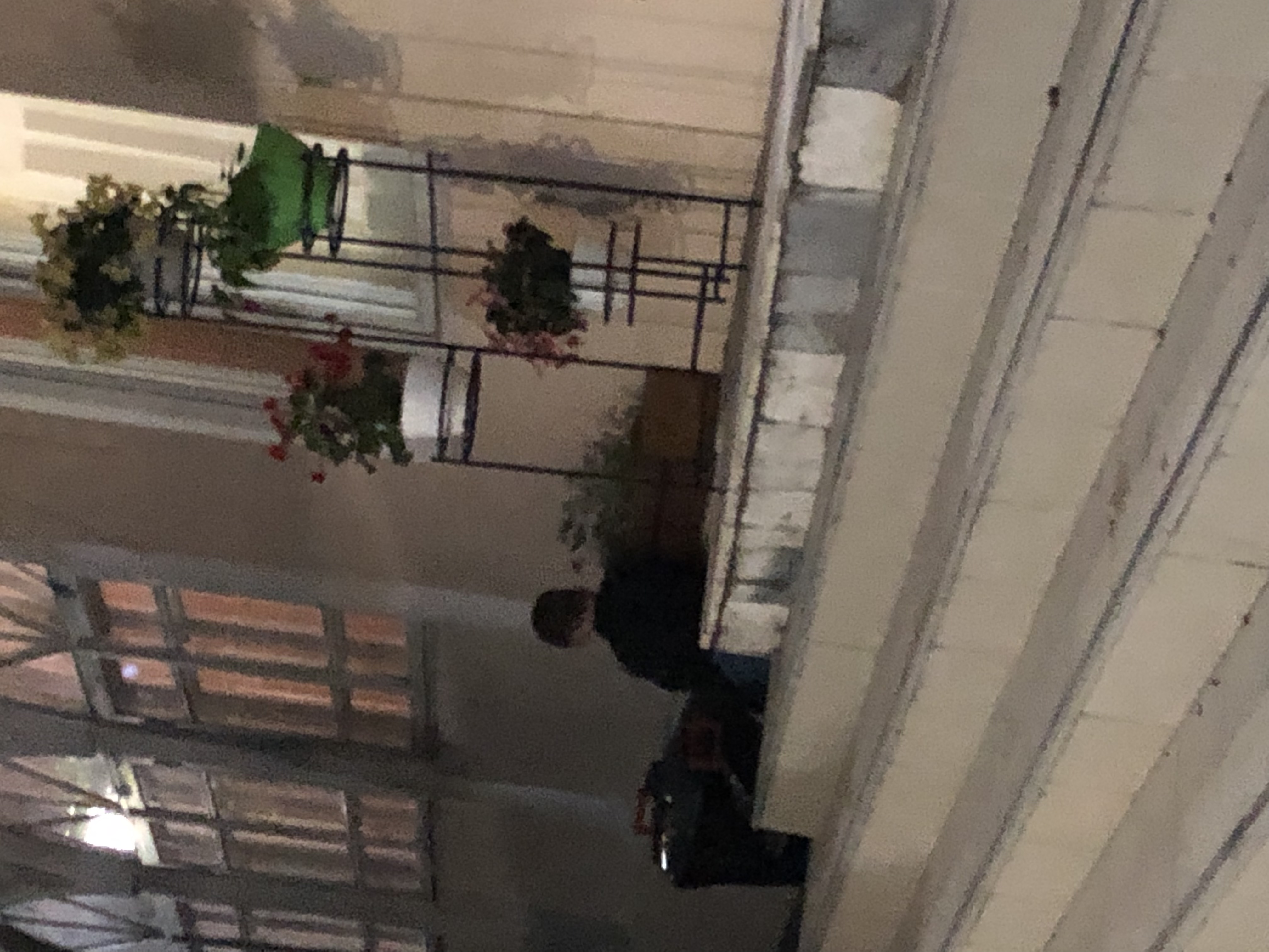 Фото Светлая