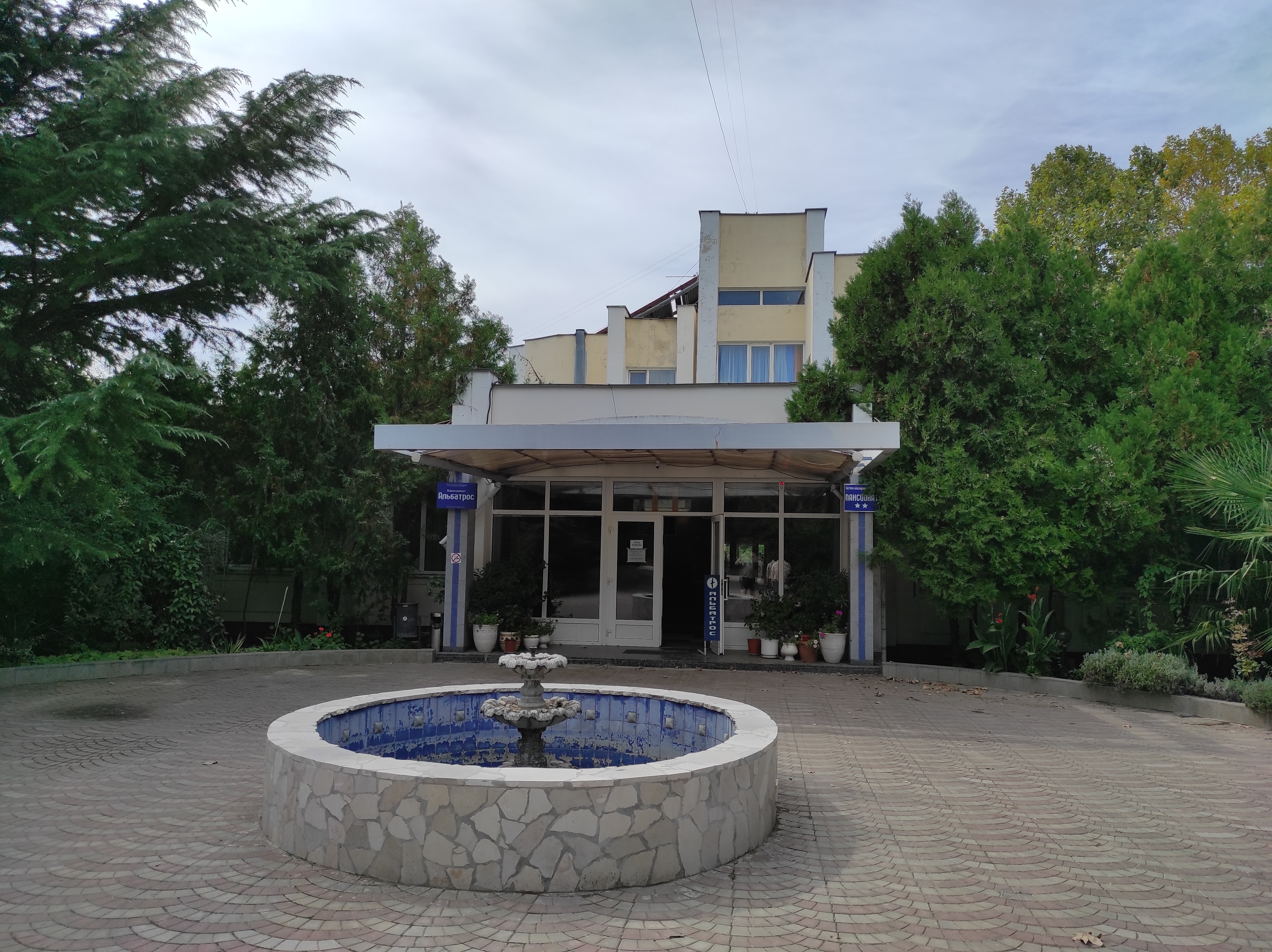 Фото Альбатрос