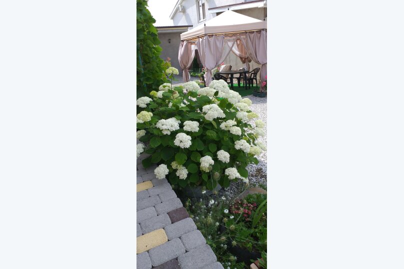 Фото Marina Garden