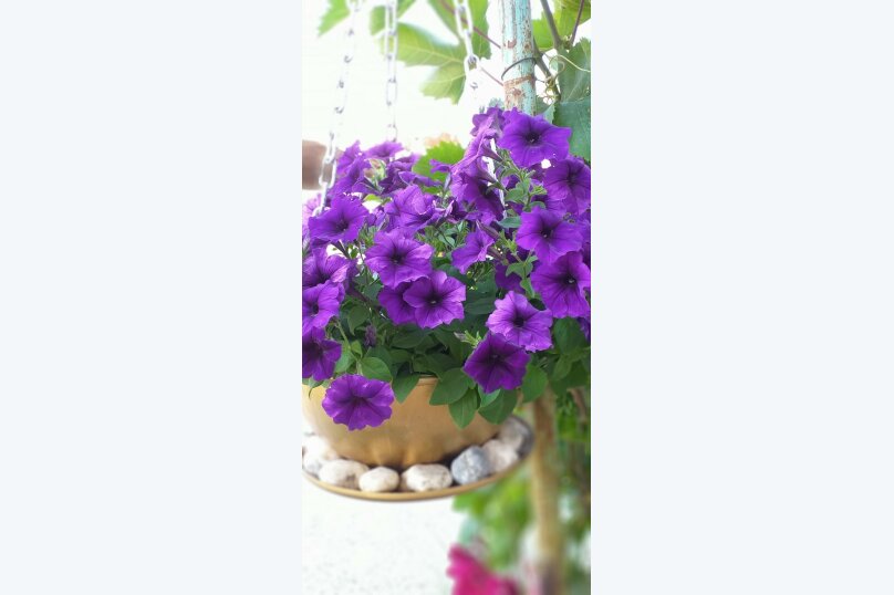 Фото Marina Garden