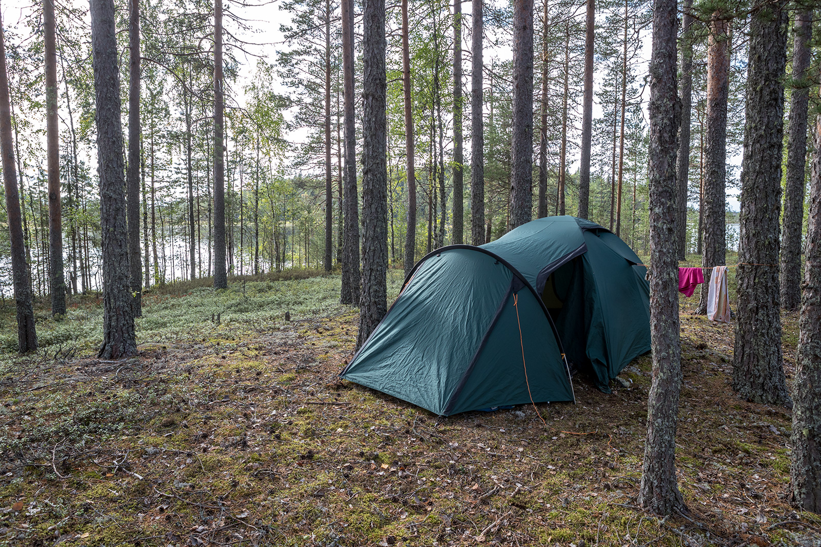 Фото Экотурсервис