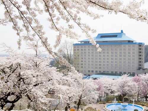 Гостиница Hanamaki Onsen Hotel Senshukaku