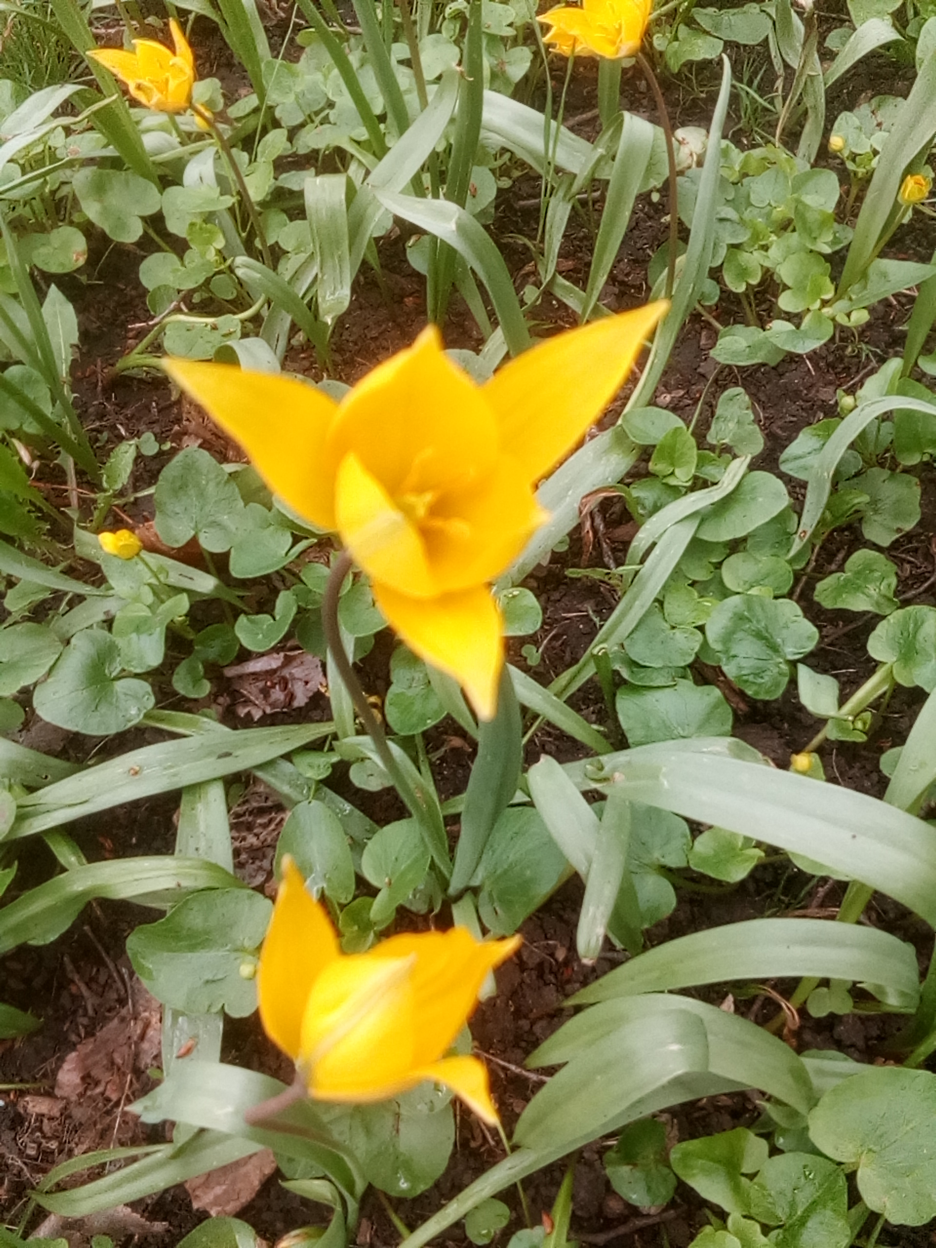 Фото Автомобилист