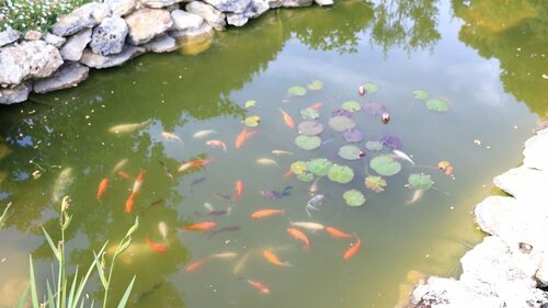 Гостиница Chambre d’hôtes La Quercynoise в Вильневе-сюре-Ло