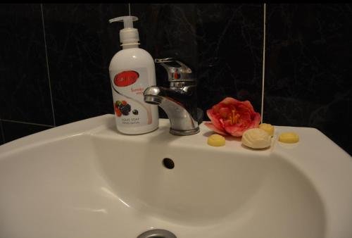 Фото Guest House Vera