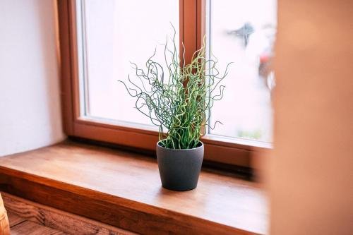 Фото Schloss Hotel Wurzen