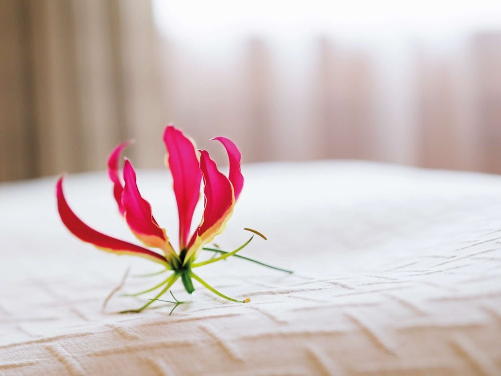Фото Movenpick Hotel Geneva