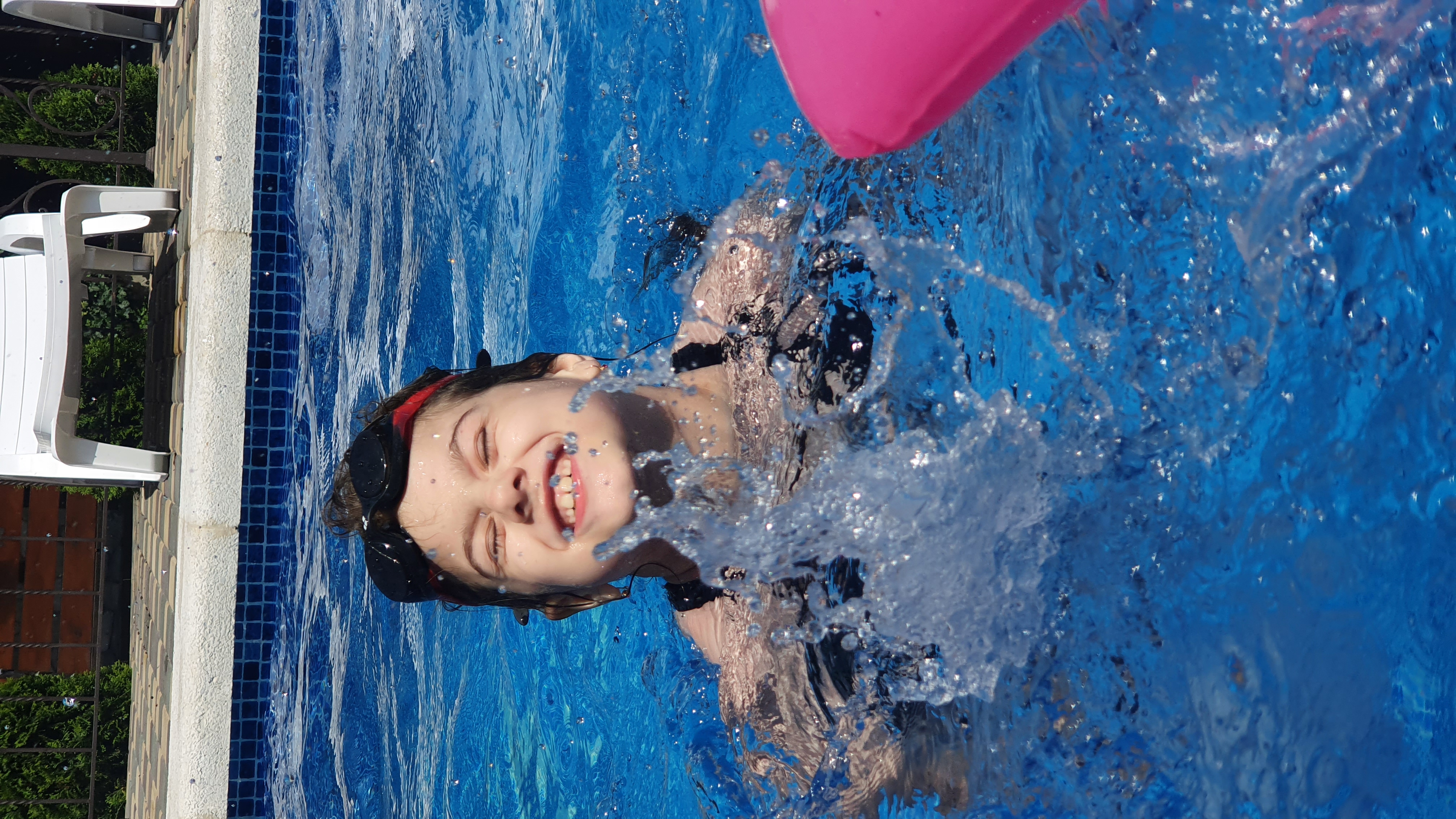 Фото Альбатрос