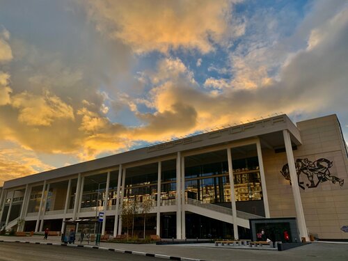 СКК Дворец Спорта имени Владимира Высоцкого, спортивный комплекс ...