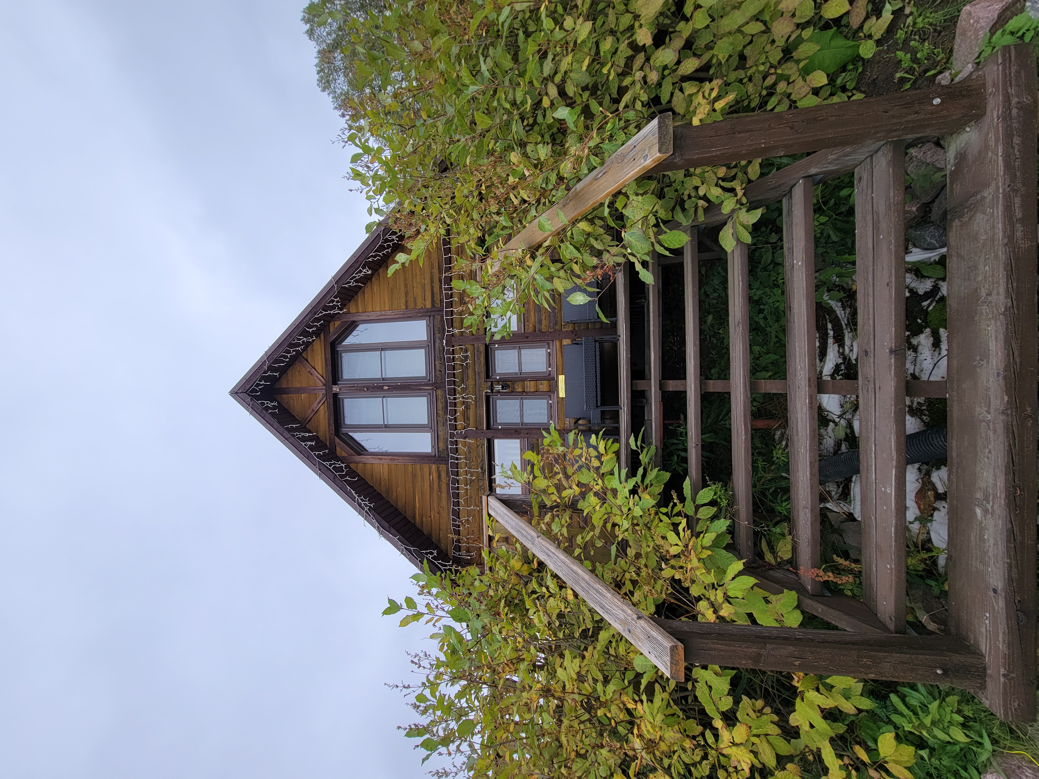 Фото Тихотут