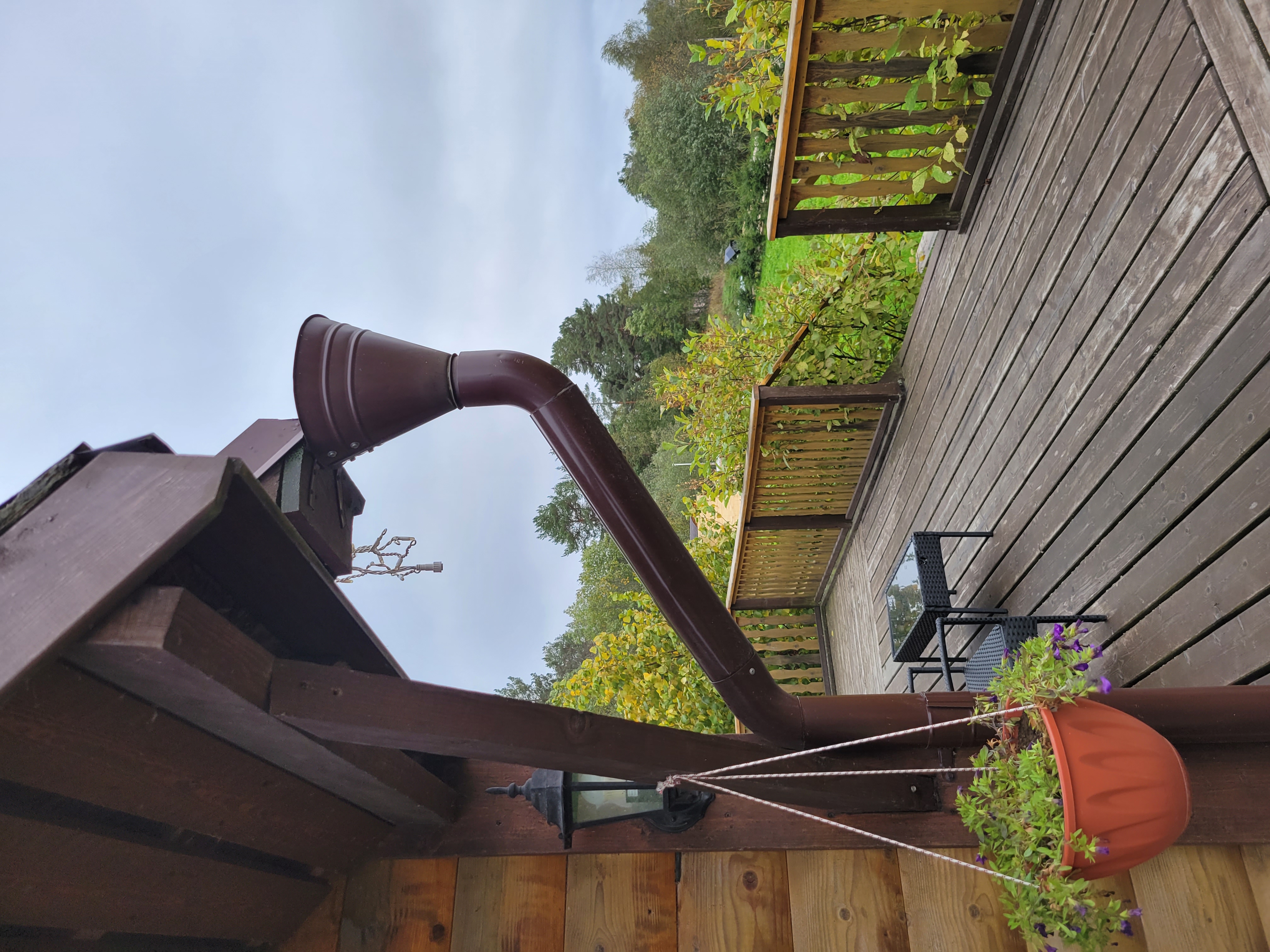 Фото Тихотут