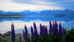 Tailor Made Tekapo