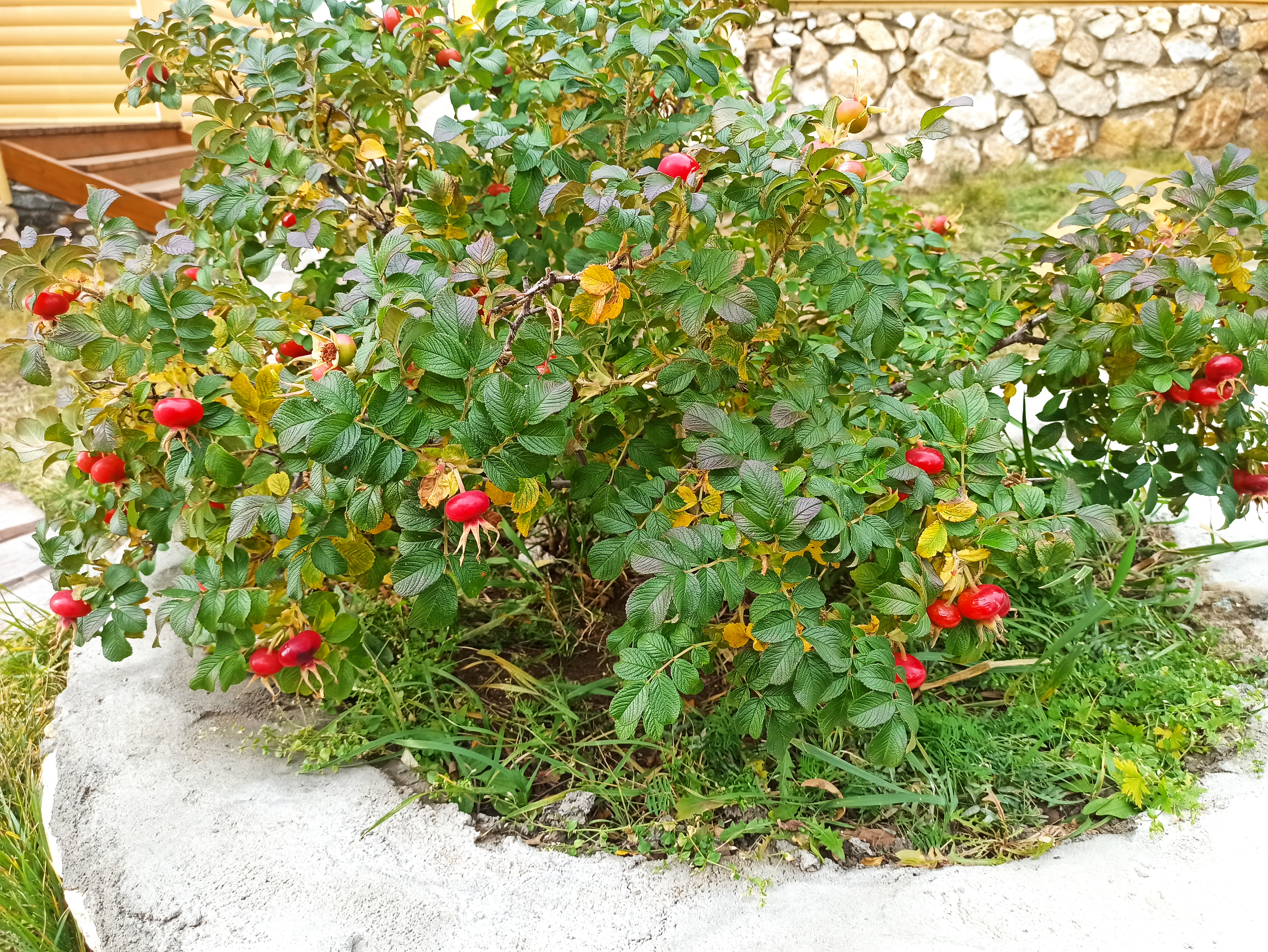 Фото Ветер странствий