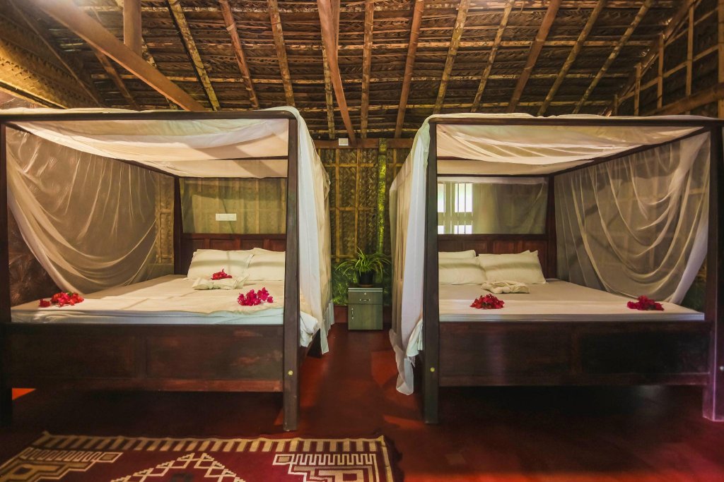 Фото Palm Trees Ayurvedic Heritage