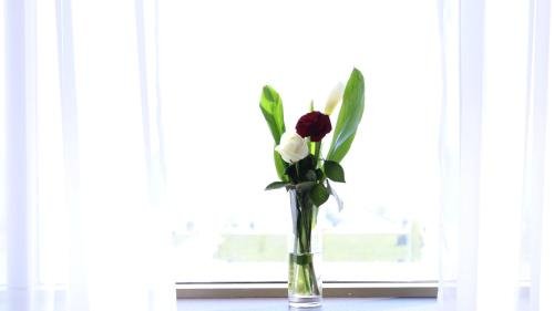 Фото Corniche Family Hotel Baku