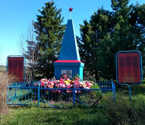 Обелиск павшим воинам Великой Отечественной войны (Вологодская область, Великоустюгский муниципальный округ, деревня Мякинницыно), памятник, мемориал в Вологодской области