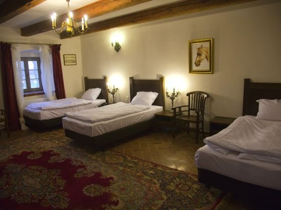 Фото Pałac Wiechlice