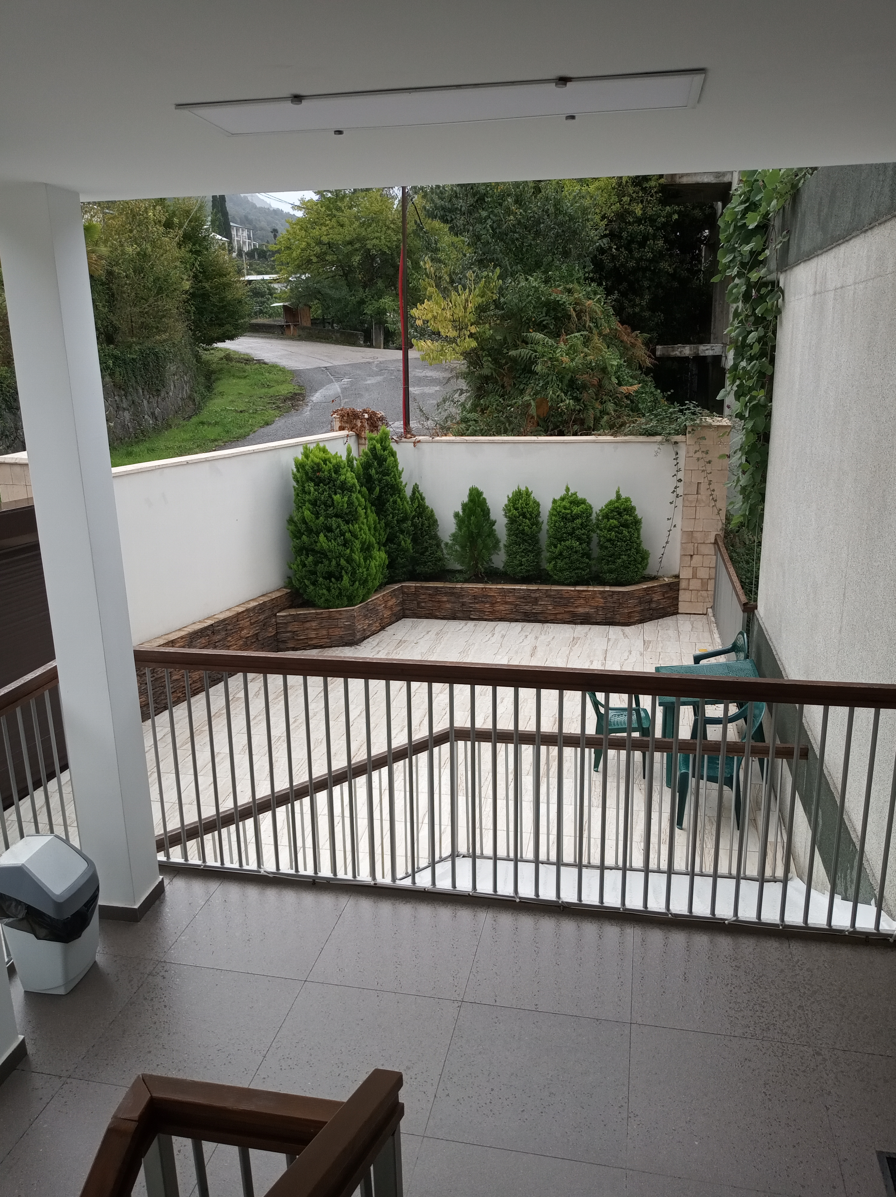 Фото Пальма