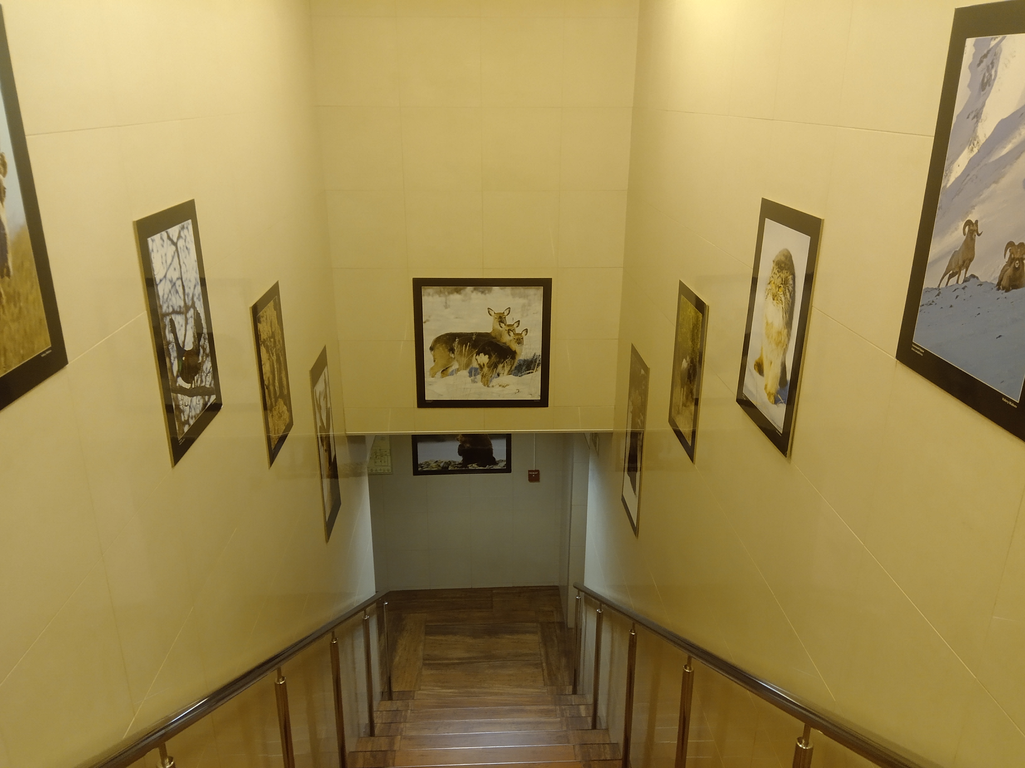 Фото Охотник