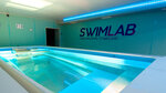 Swim Lab (Fontanka River Embankment, 56), piscina