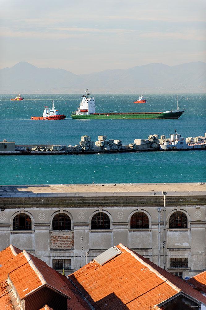 Фото Mediterranean Palace Hotel