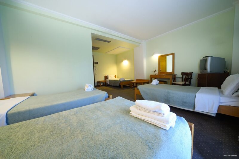 Фото Mont Helmos Hotel