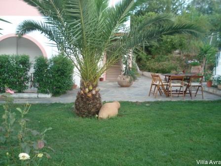 Фото Villa Avra