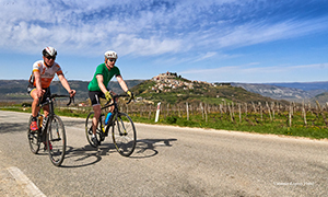 Фото Valamar Argosy Hotel