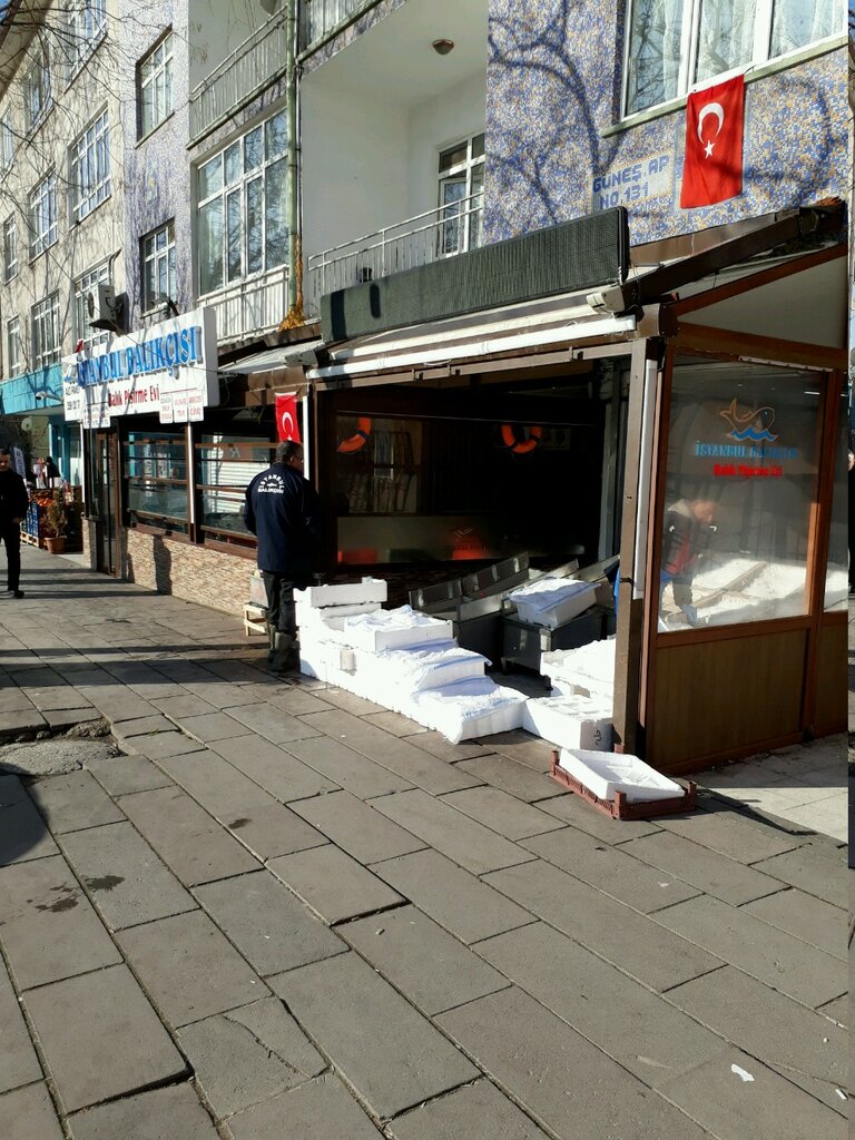 istanbul balikcisi balik pisirme evi restoran 19 mayis mh yunus emre cd no 131 b kecioren ankara yandex haritalar