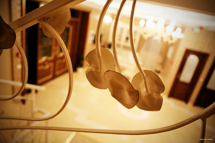 Фото Hotel Vila Viktorija